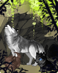 Wolf McNugget
