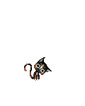 kuma