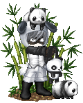 Japaneese Panda