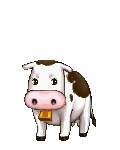Lady Cow 07