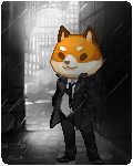 Shibe Noir