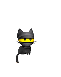 hipster kitties's avatar