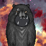 What if bears could's avatar