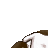 CaptainSparkly's username