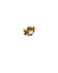 Mega Pidgeot's avatar