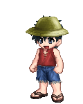 `Monkey D. Luffy`