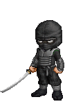 The WTF Ninja