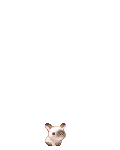 pixel bunnies's avatar