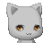 spicyoranges's username