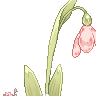 Canicuss's avatar