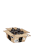 Generic Cat's avatar
