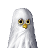 The O RLY Owl's avatar