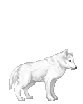Heart of the Pack's avatar