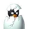 Squiggle Penguin's avatar