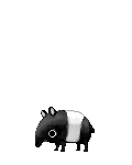 Skiddoh