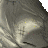 Greywolf 994's avatar