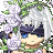 Miyeu's avatar