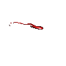 lonely149's avatar