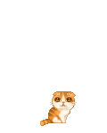 [NPC] Waffles the Cat's avatar
