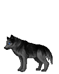 Wolf of Blue Infernos