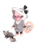 Queen of Opossums
