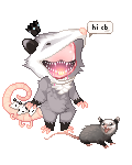 Queen of Opossums