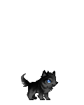 Dark Khaos Wolf's avatar