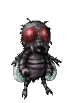 Giant Fly's avatar