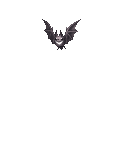 The Little Bat