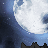Hikari chan21's username