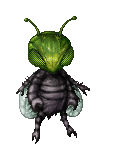 napolchr's avatar
