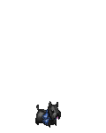 The GDs Dog's avatar