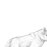 mdlinuxwolf's avatar