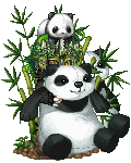 pandaoftheblackflames's avatar