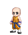 Krillin The bald hero 