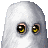 stonecold-xy9's username
