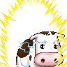 cow of the null's avatar