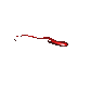 krengkar's avatar