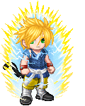The Saiyan Kakarot's avatar