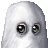 The Ku Klux Klan's avatar
