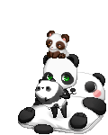 Cute Panda Teddy