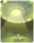 StardustOrchid
