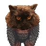 Medazzaland's avatar