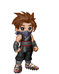 Ninja Sky Knight's avatar