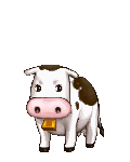 Mr-Mooers 