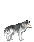 jazziefoxwolf's avatar