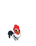 Punkie Rooster's avatar