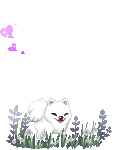 puppy senpai's avatar