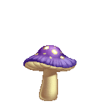PsychedeIic Mushroom