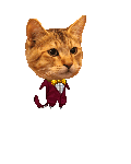 professor cat's avatar